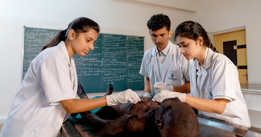 Bachelor of Physiotherapy 5