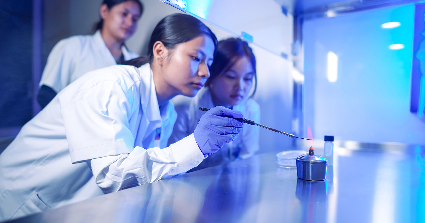 Diploma in Pharmacy 4