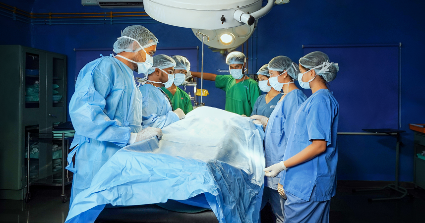  Undergraduate Programs 1