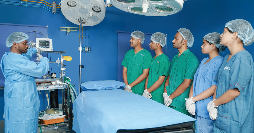  Undergraduate Programs 3