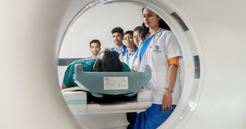  Undergraduate Programs 4