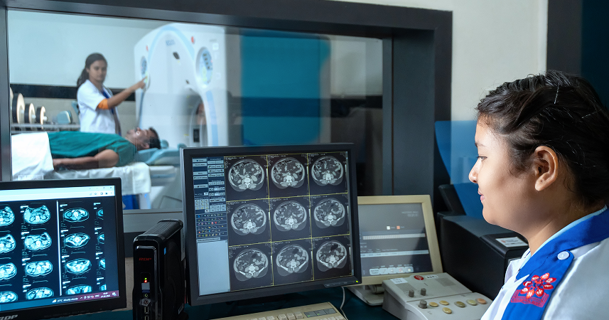  Undergraduate Programs 5